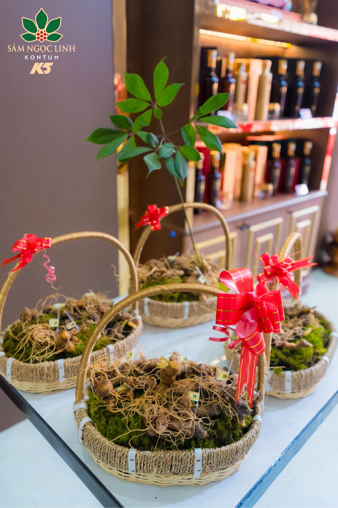 Củ sâm Ngọc Linh tươi quý hiếm tại showroom.