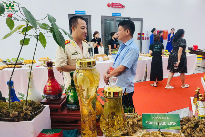 Khách tham quan đang trao đổi về cây sâm Ngọc Linh.