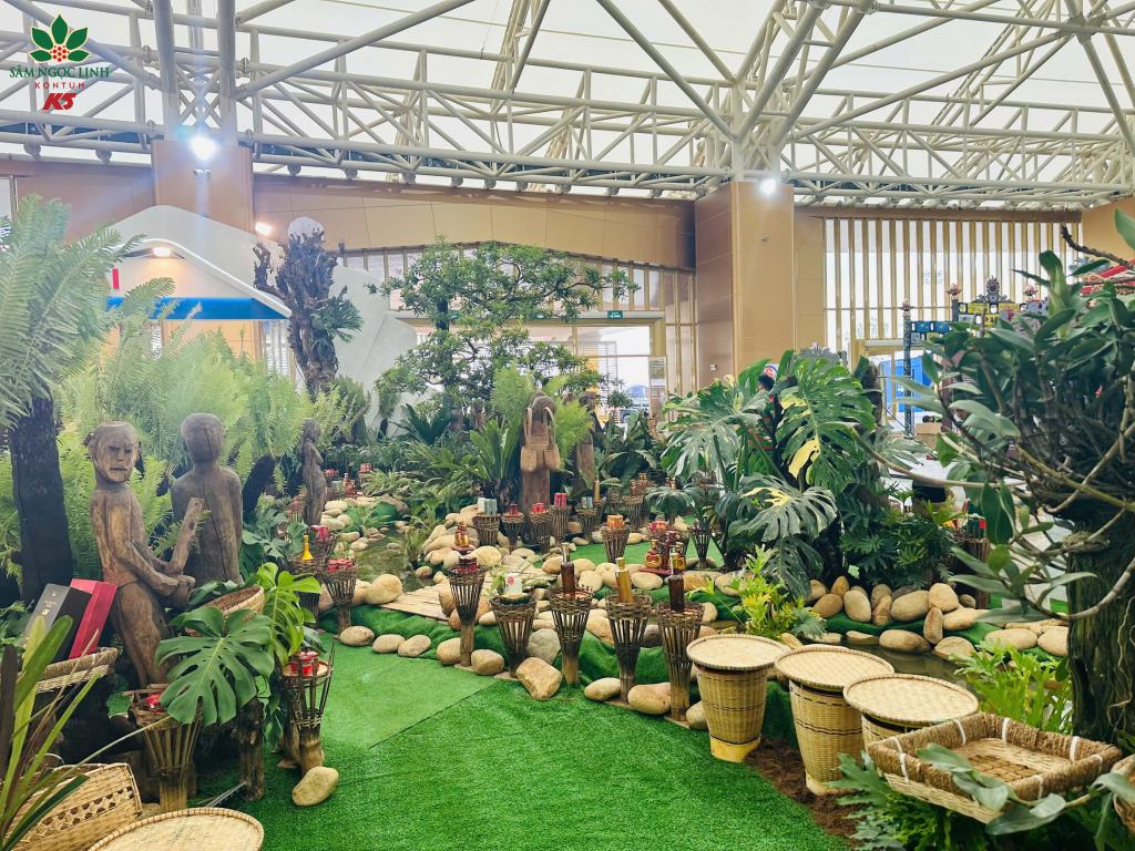 Các chế phẩm sâm Ngọc Linh trong rừng sâm K5.